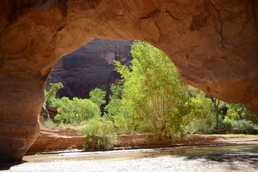 coyote gulch 147