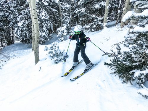 Sydney Skiing