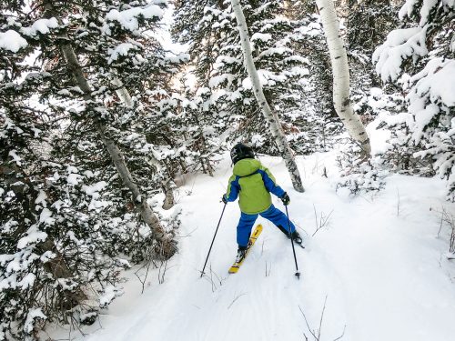 little boy skiing through the trees