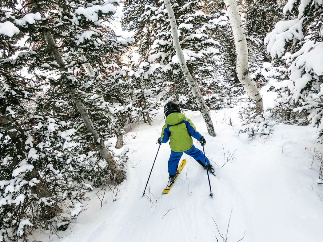 boy skiing through trees