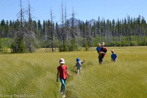 hiking with kids meadow