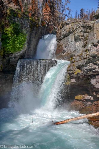 waterfall, glacier national park hikes, st mary falls