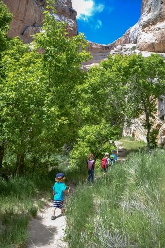 josies cabin, hog canyon