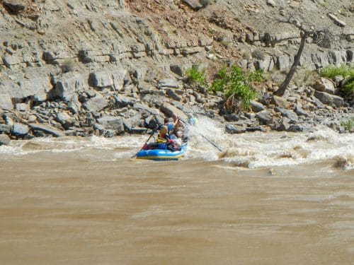 rafting desolation canyon