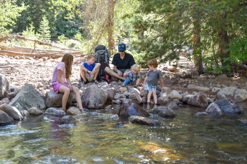 dry fork flume site