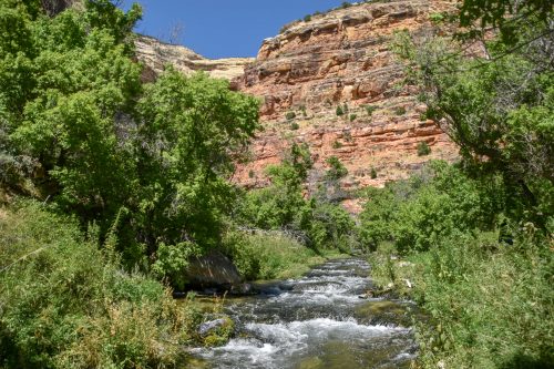 jones hole creek trail