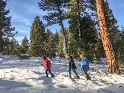 kids hiking through forest in the snow