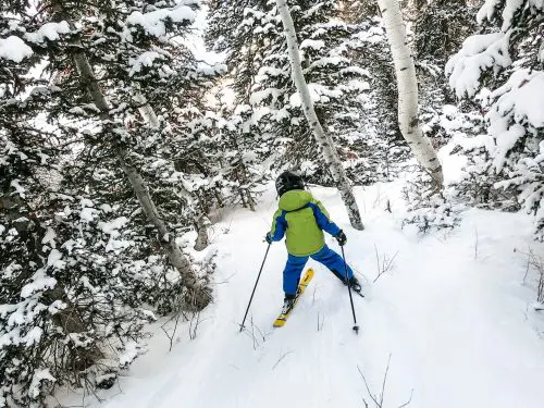boy skiing in the trees