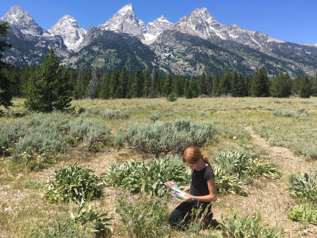 Grand Teton National Park