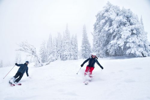 Grand targhee powder