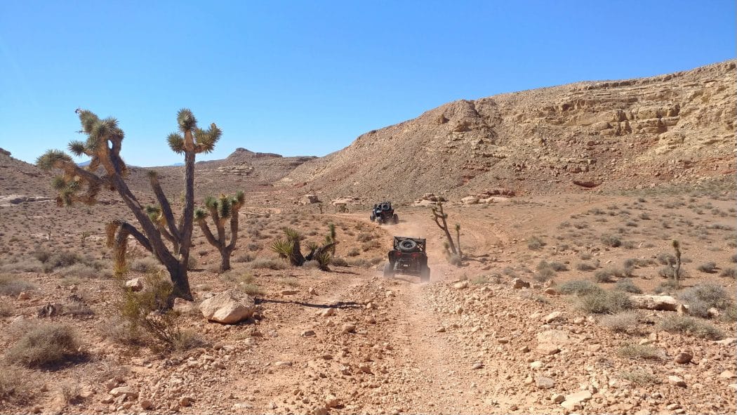 atv nevada with teens