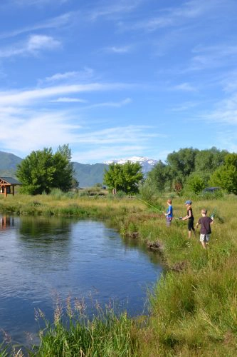 fishing on the provo river midway