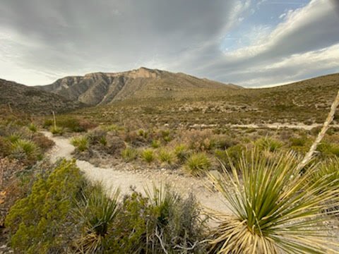 Guadalupe Mountains NP 3