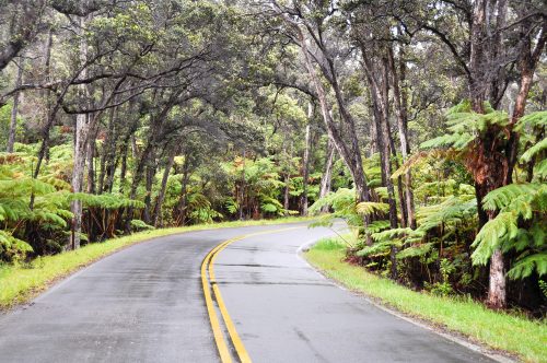 Chain of Craters Road, Hawaii Volcanoes National Park