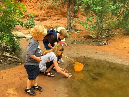 kids in zion