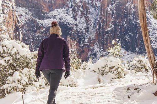 zion in winter