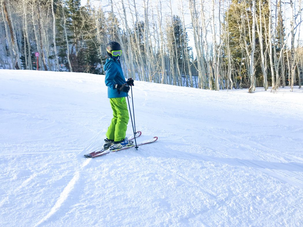 shred dog skiing