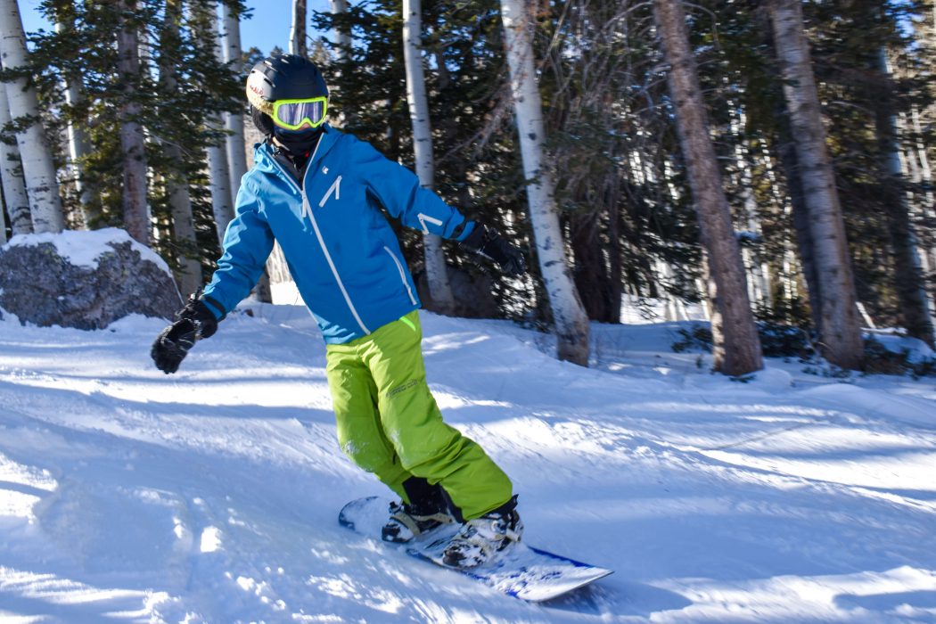 shred dog snowboarding