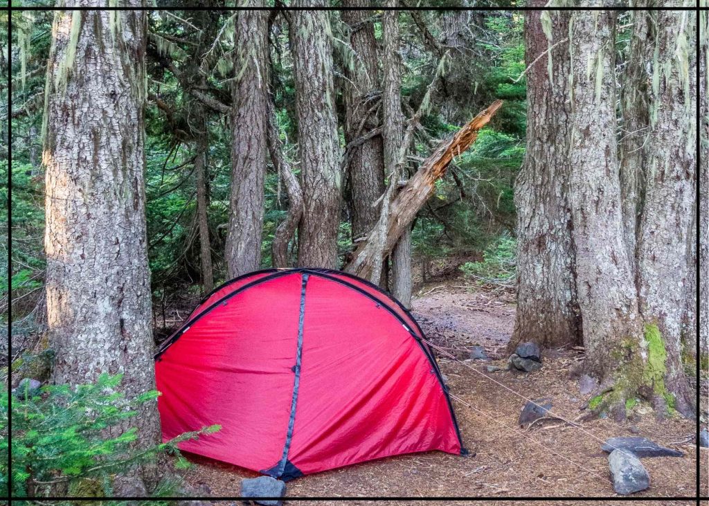 campsite in forest