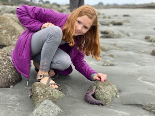 Sea star at washington beach