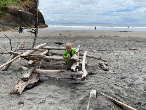 Driftwood forts in Washington