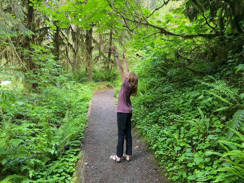 hiking in quinault rain forest