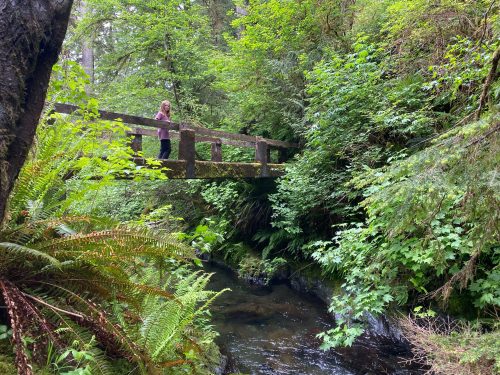 Quinault Nature trail hike