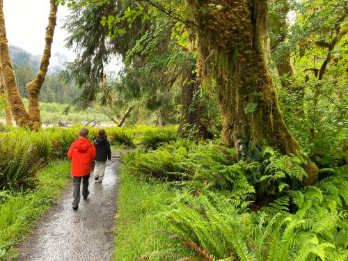 Kids shred dog hardshell jackets in rain