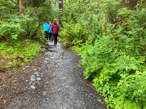 Spruce Nature trail hike olympic national park