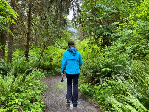 Quick Dry hiking pants 