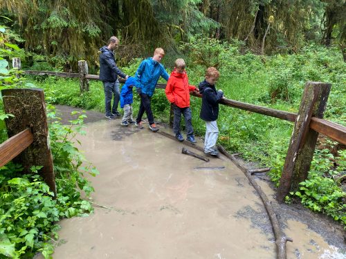 hiking through water in olympic national park