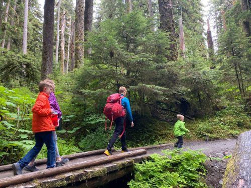 Sol Duc Falls hike