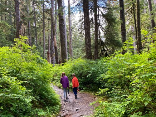 hiking with kids in olympic