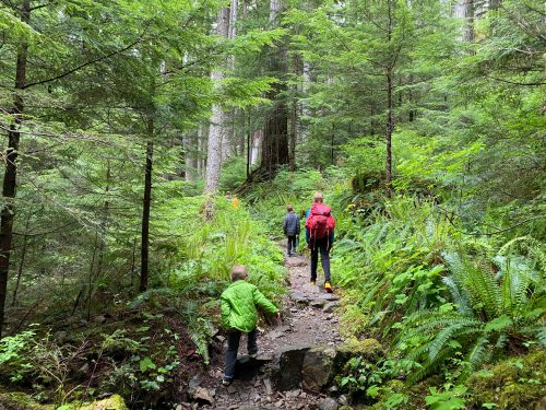 Deer Lake Hike olympic national park