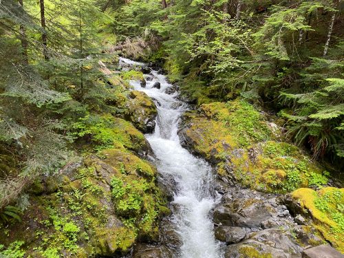 Olympic national park waterfalls