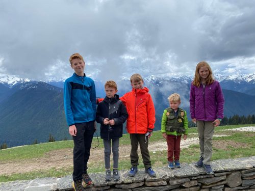 Hurricane Ridge Olympic National Park