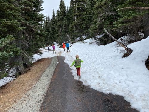 hiking hurricane ridge in the snow with kids