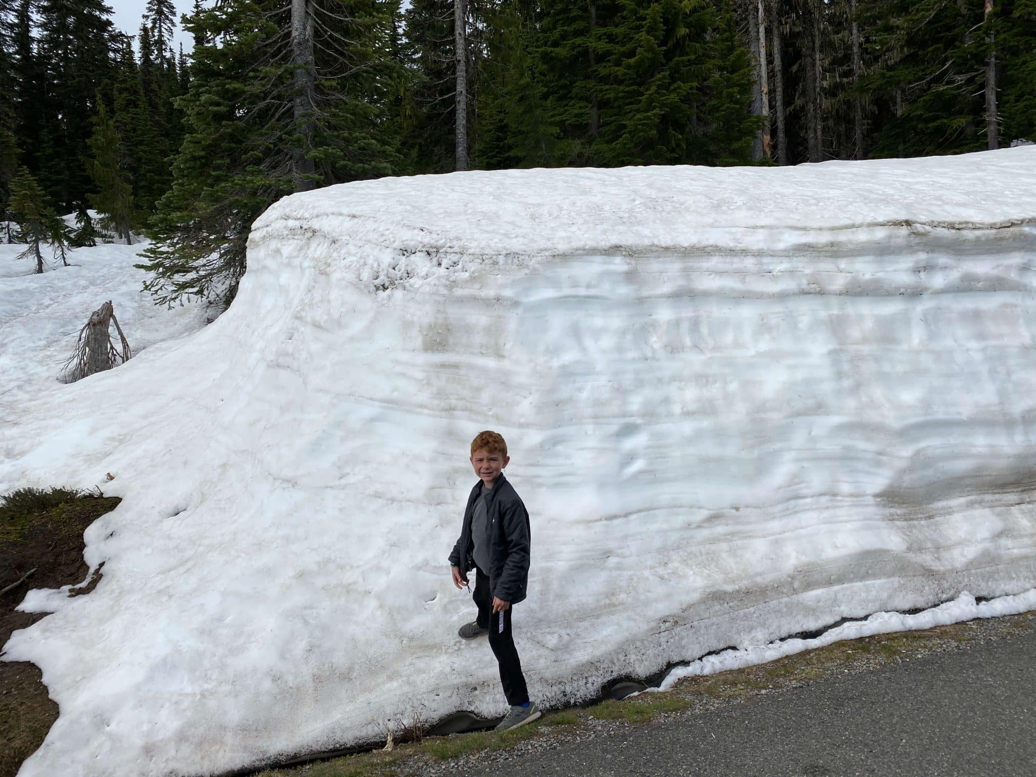 Mount rainier snow in june