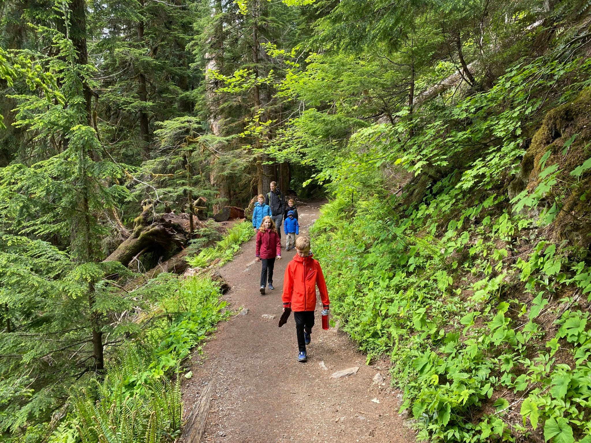 hiking mount rainier with kids