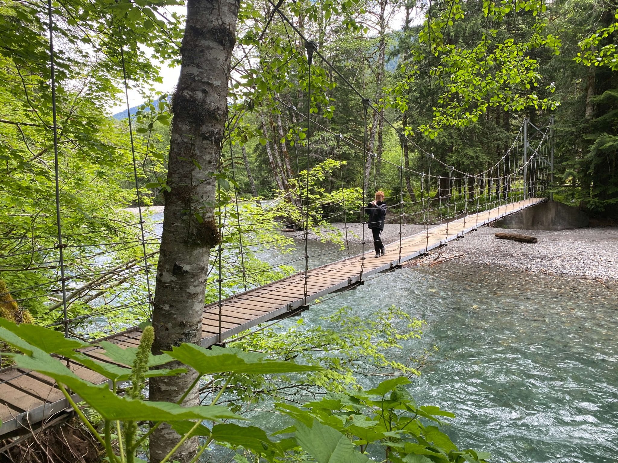 Bridge over river mount rainier