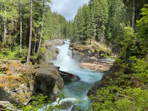 silver falls hike with kids rainier