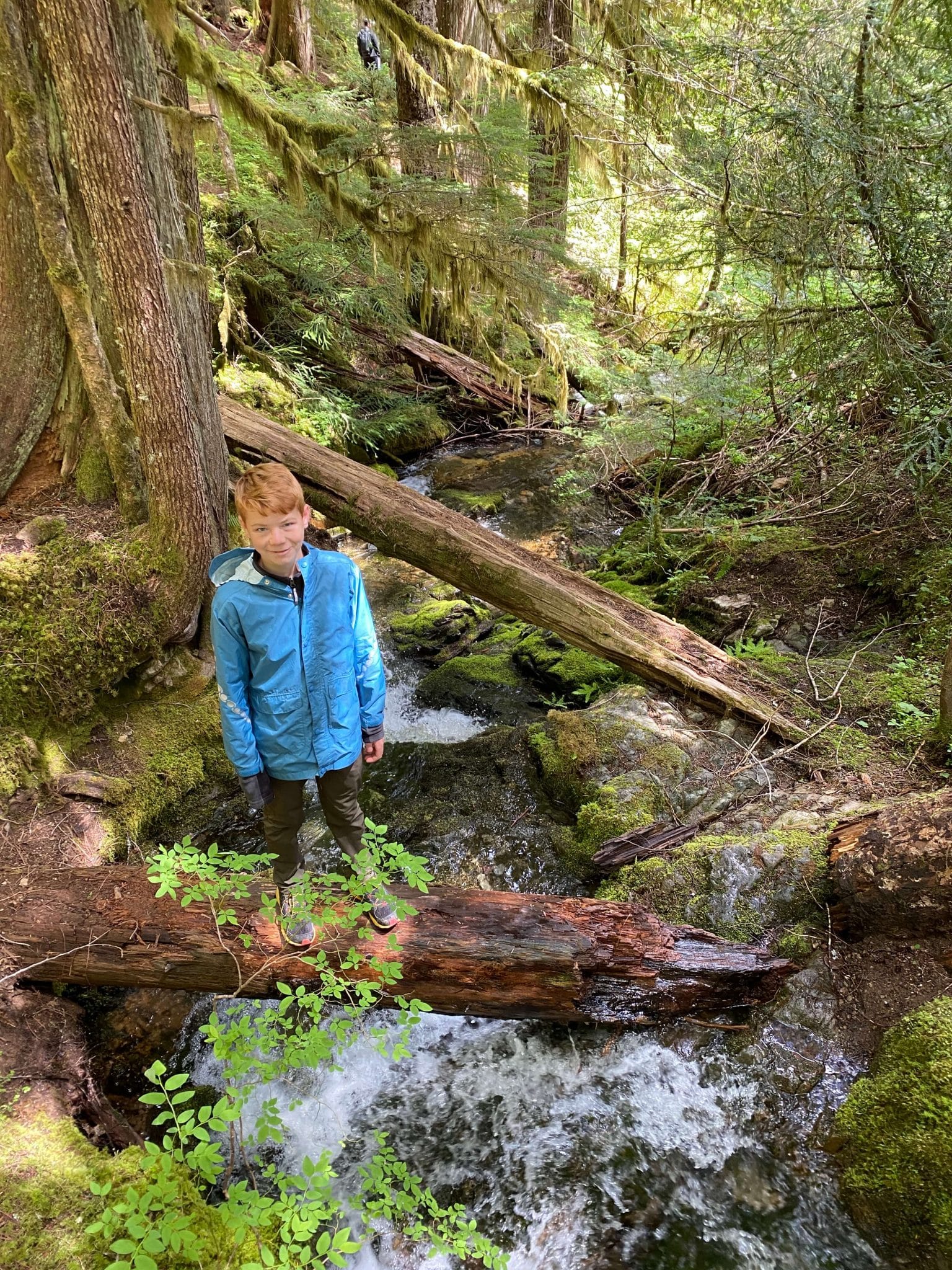 Rainier hiking in June