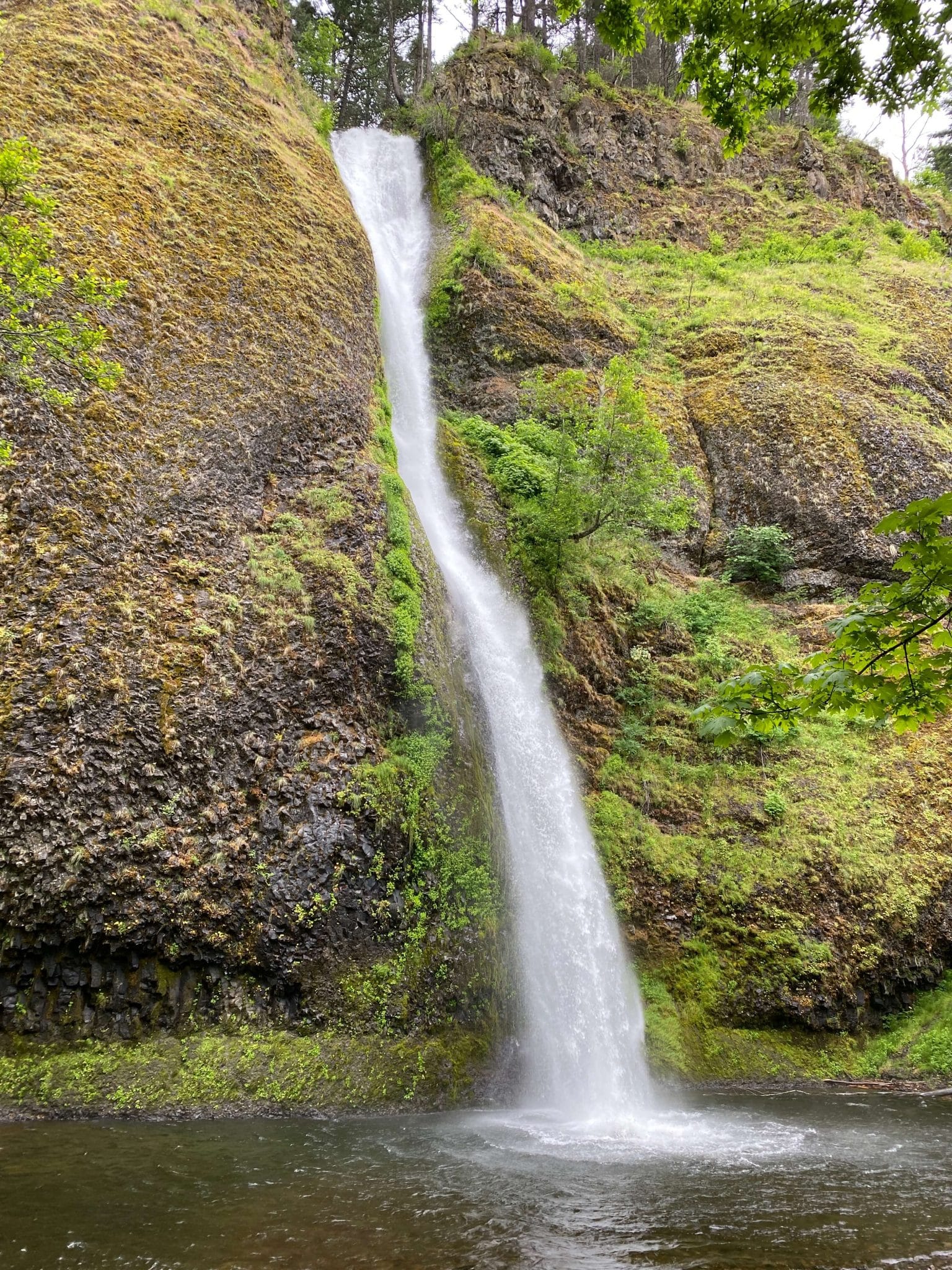 Horsetail falls with kids