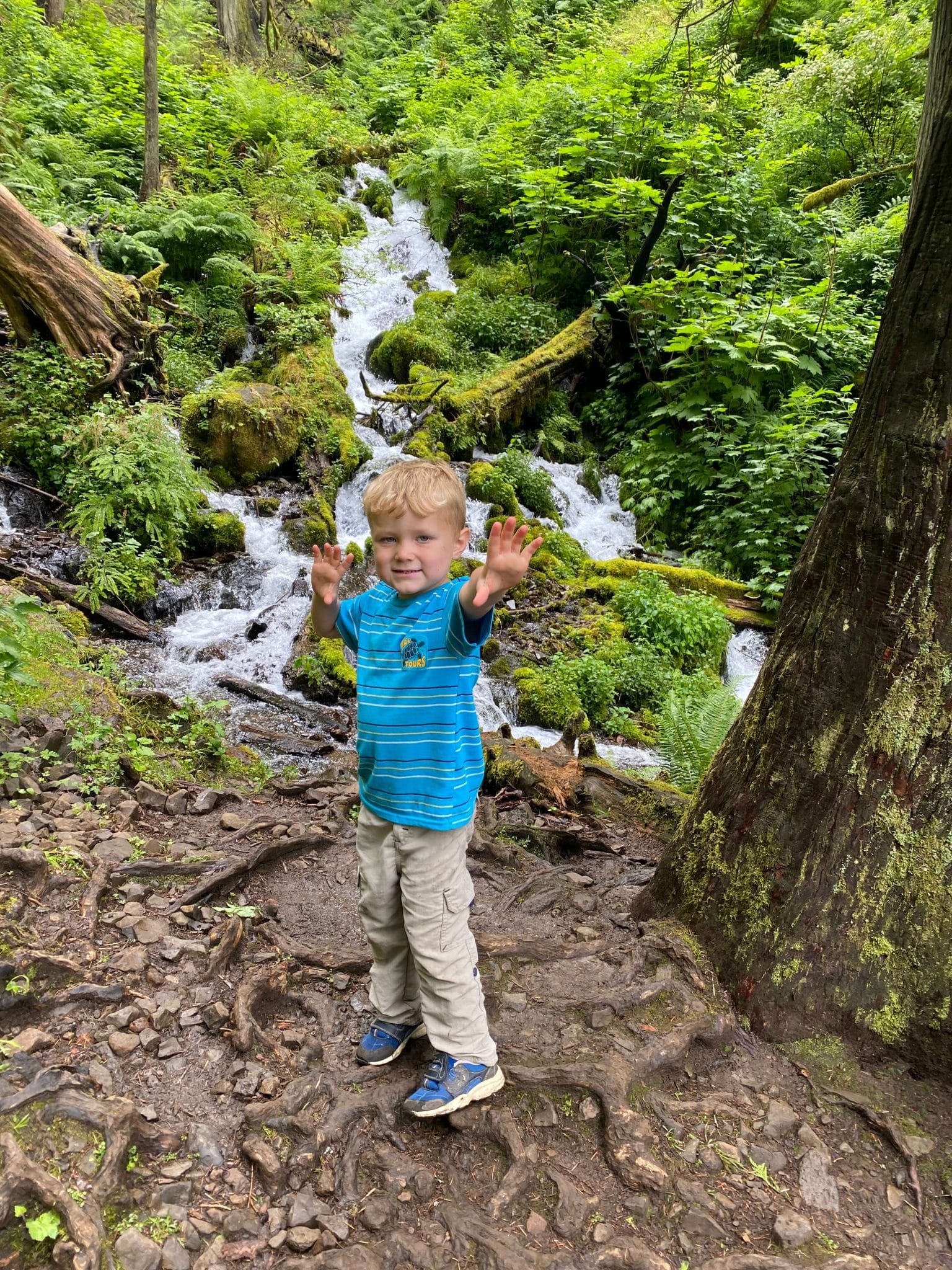 4 year hiking columbia river gorge