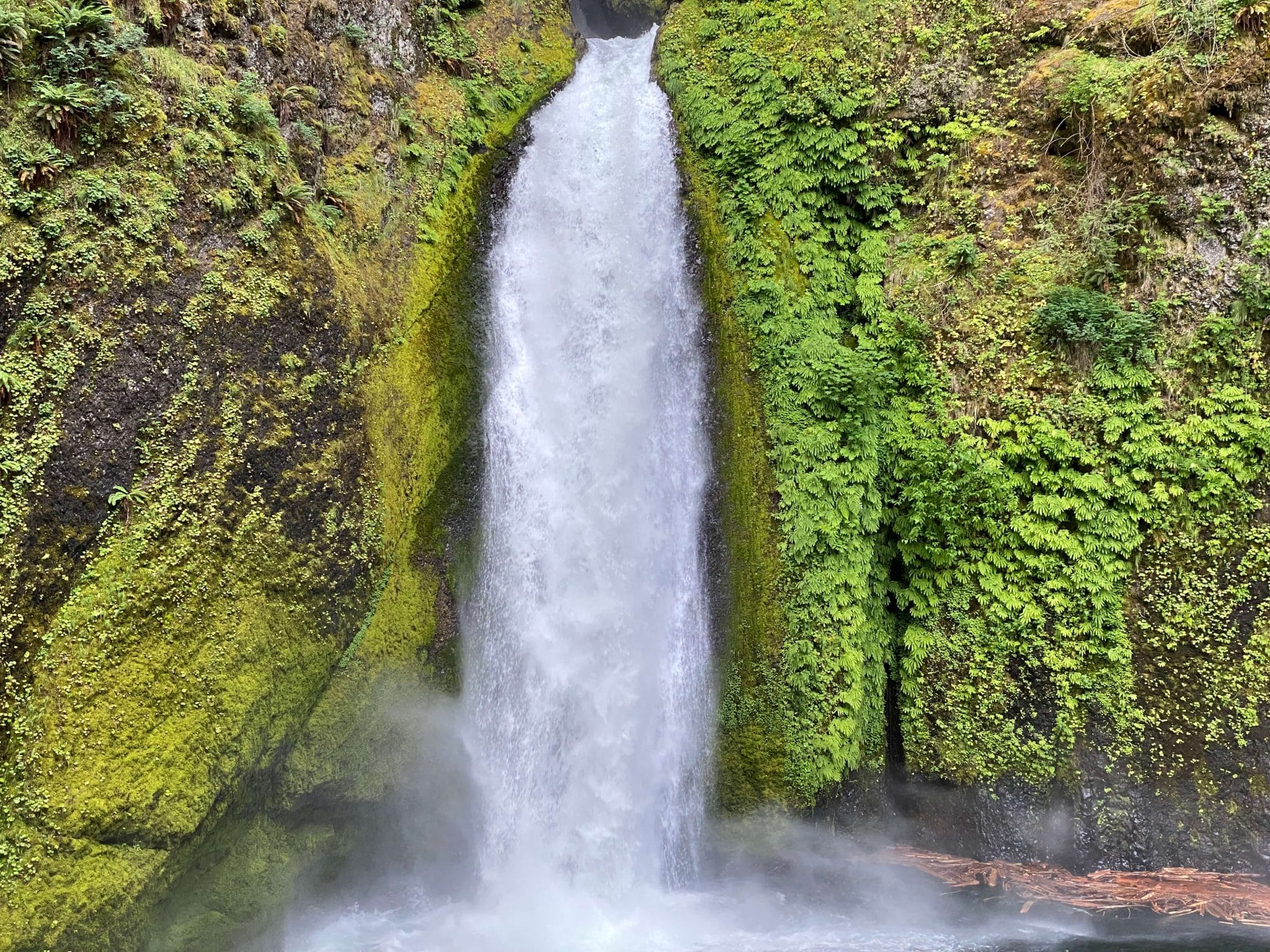 Wahclella Falls Trail with kids