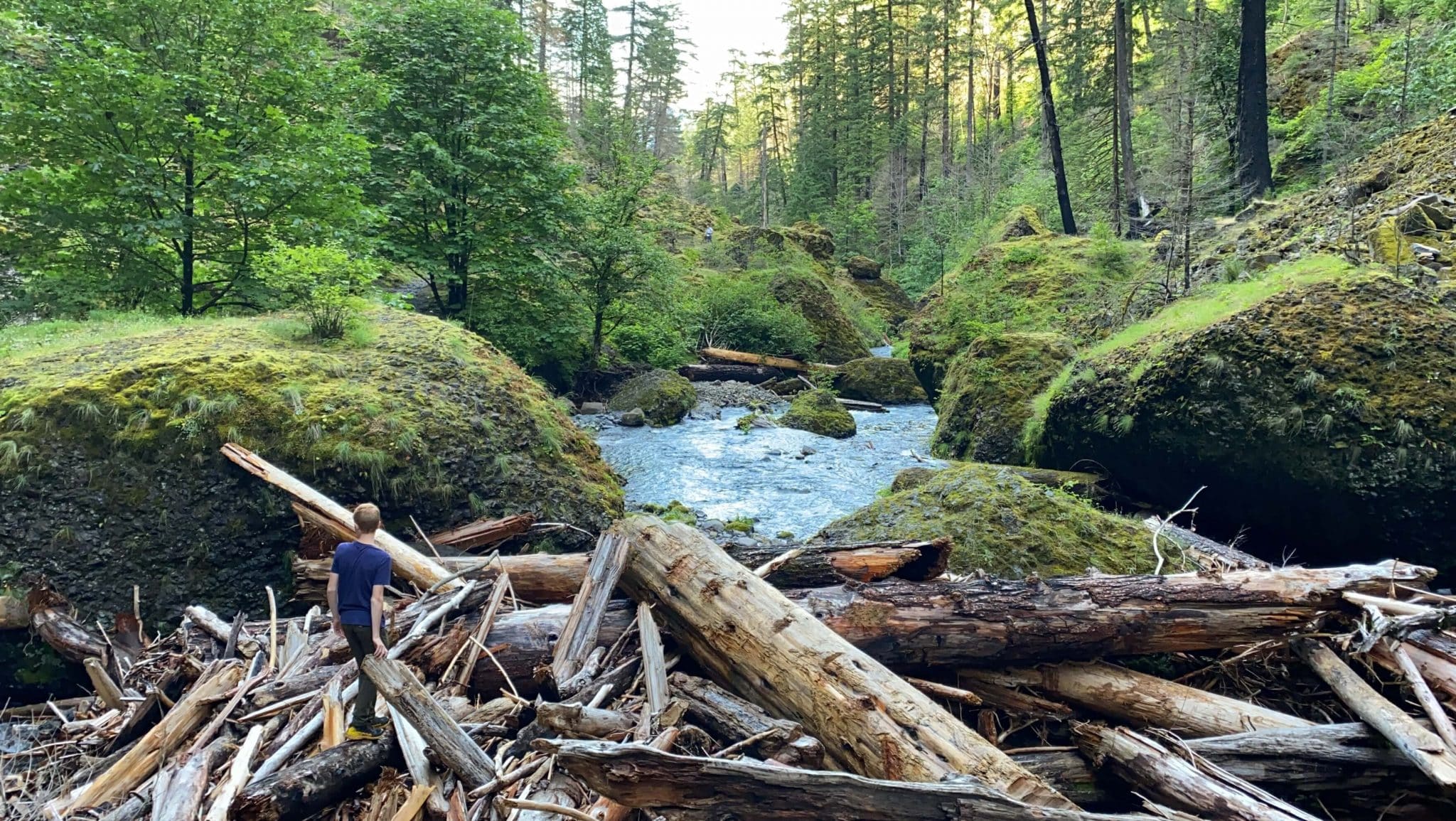 wahclella falls oregon with kids