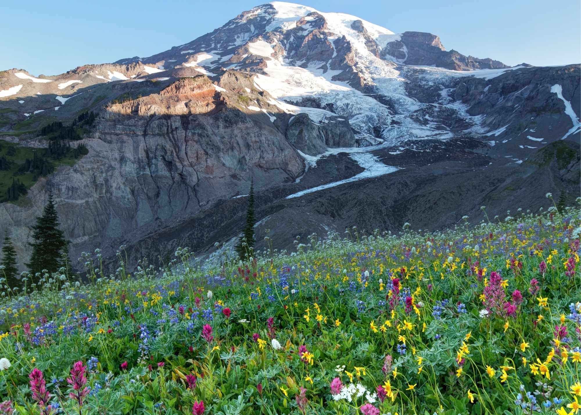 Skyline Trail hike with kids