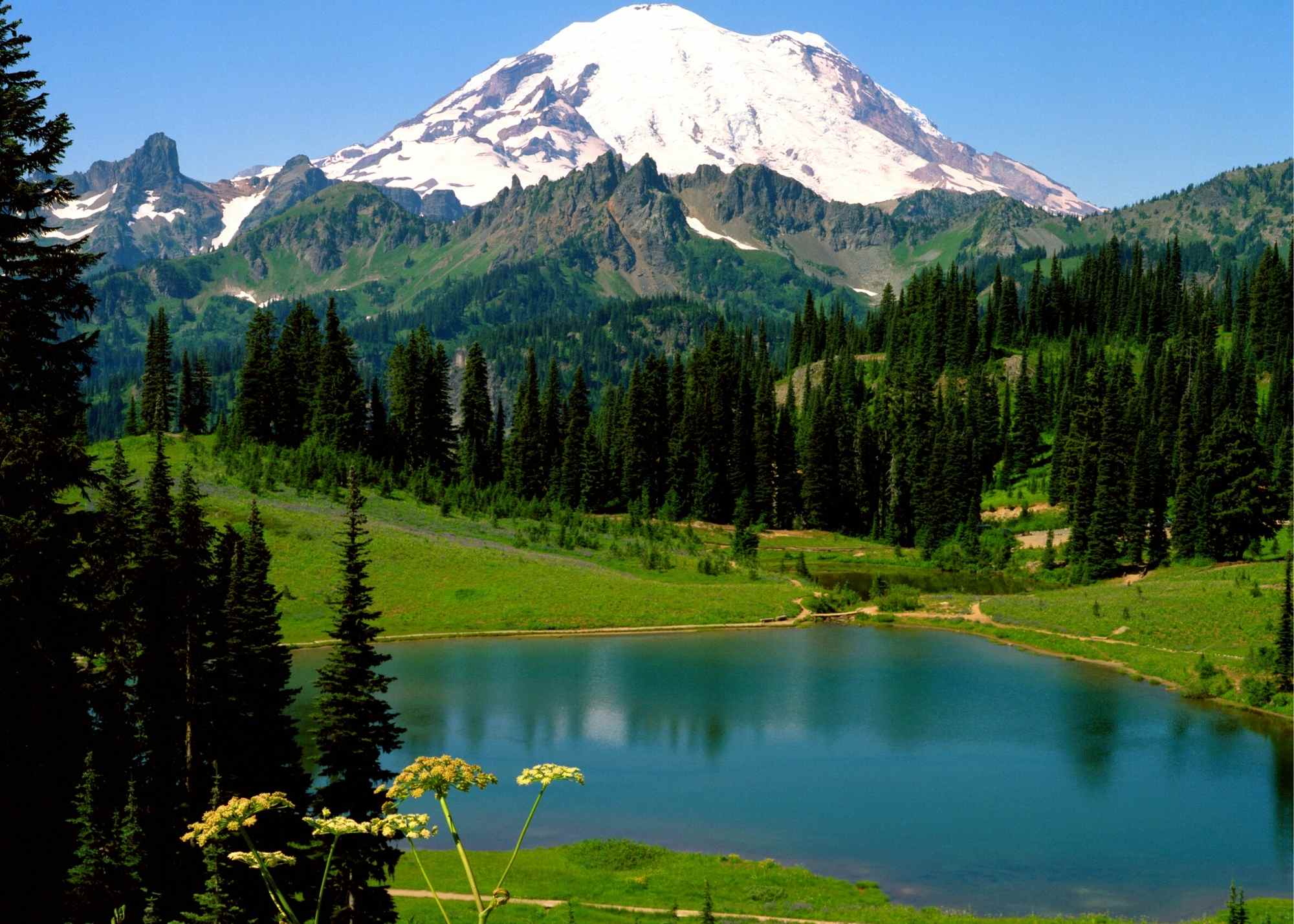 tipsoo lake hike with kids rainier