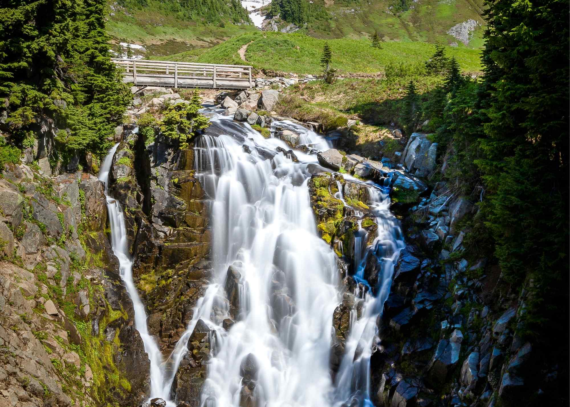 Myrtle Falls hike with kids