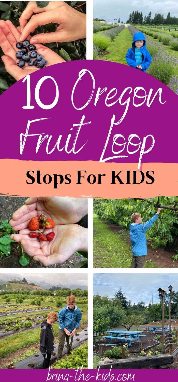 Oregon fruit loop with kids